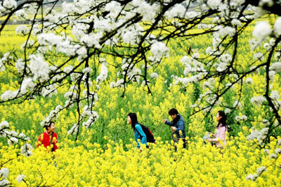 Beautiful spring scenery in Guizhou