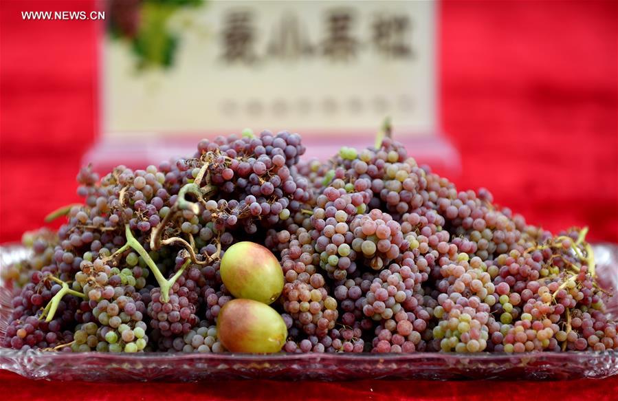 Grape festival opens at Turpan in NW China's Xinjiang