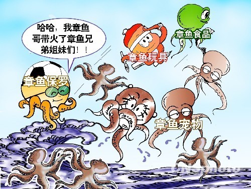 保羅身價水漲船高 將成章魚界首個“百萬富翁”