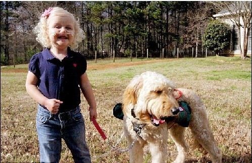 服務(wù)犬背氧氣瓶隨時陪伴 病重女孩享自由生活