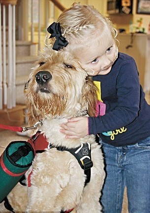 服務(wù)犬背氧氣瓶隨時陪伴 病重女孩享自由生活