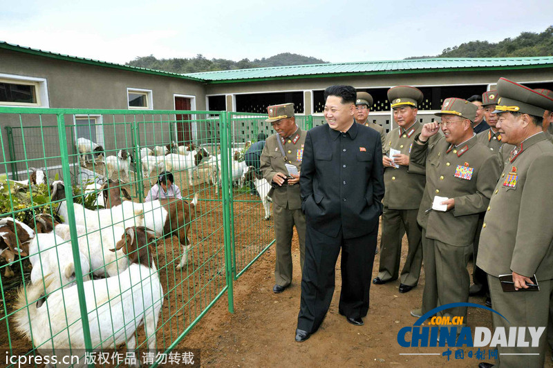 金正恩視察朝鮮人民軍家畜育種場和日用品廠（圖）