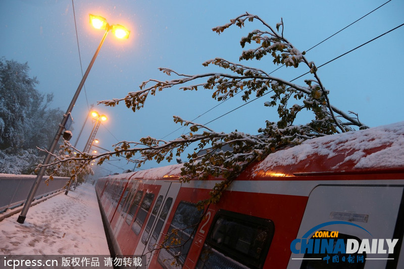 德國巴伐利亞大雪成災(zāi) 鐵路交通陷于癱瘓（圖）