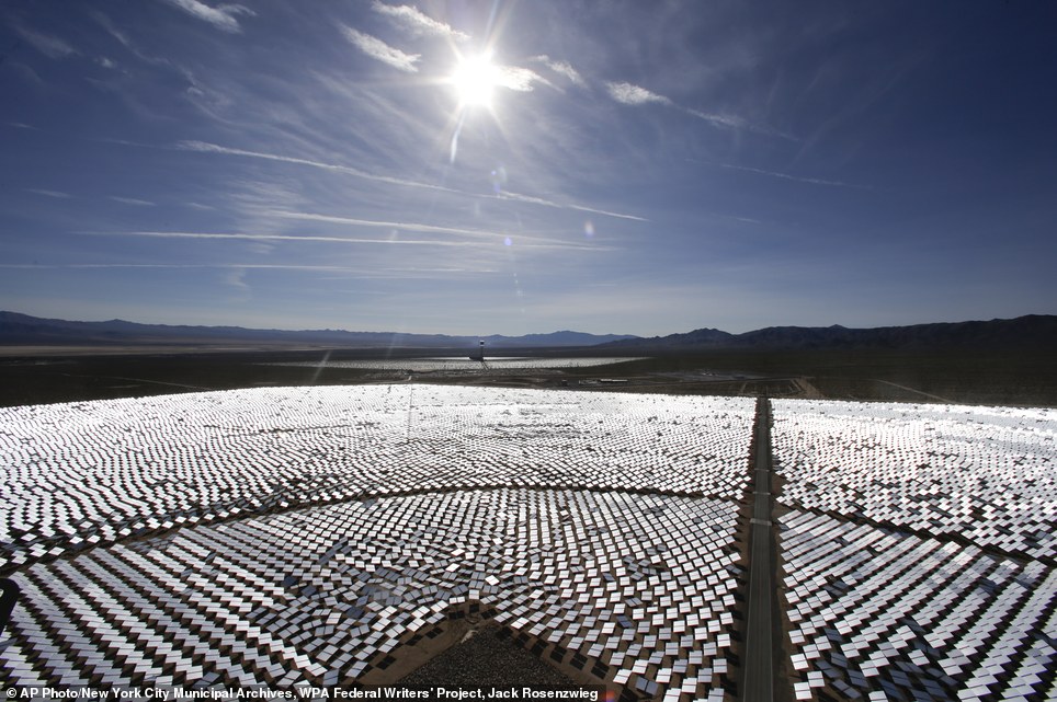 世界最大太陽能發(fā)電廠挨批 飛鳥誤闖后羽毛被烤焦