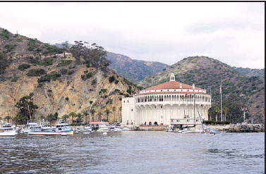 Cactus, buffalo, golf carts and the beach: Catalina Island