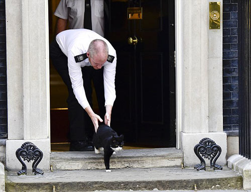 顏面掃地：英外交部“首席捕鼠官”偷溜首相府 無(wú)情被逐