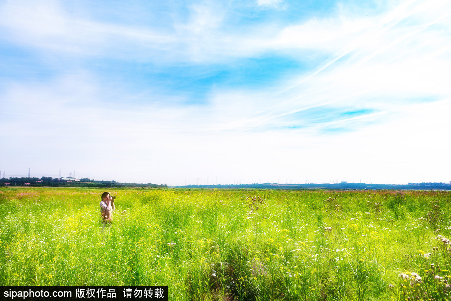 藍天白云刷屏！盤點風清日朗的絕美風光 為眼睛降溫