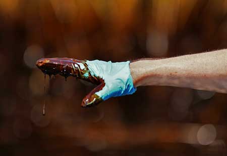 墨西哥灣漏油致海洋生物大逃亡