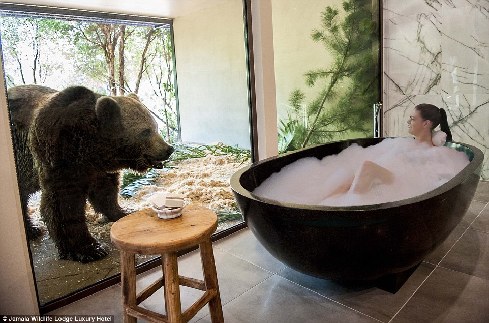 旅館？動物園？這是澳大利亞加馬拉野生動物旅館！