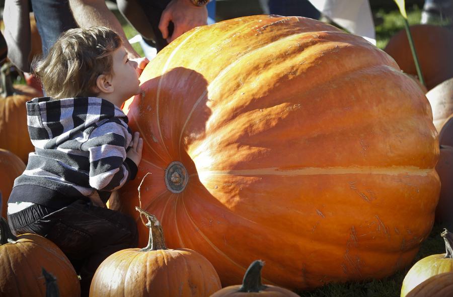 Pumpkin Festival celebrated in Vancouver, Canada