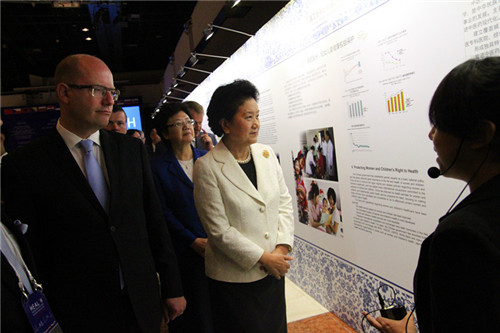 Vice-Premier Liu Yandong addresses China-CEEC health ministers meeting