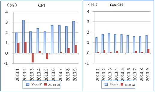 Analysis of Price Performance in the Four Quarters of 2013 and Policy Options