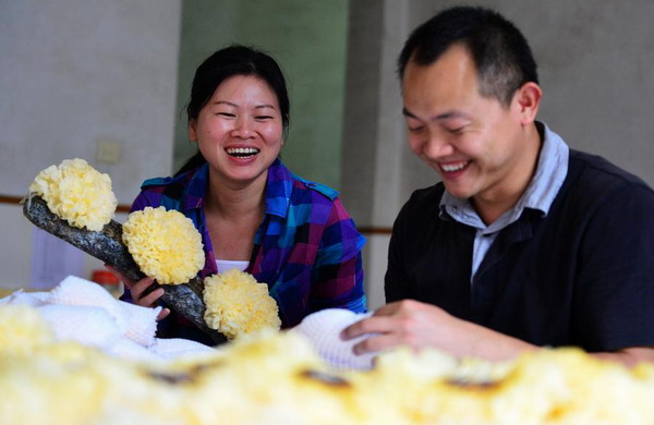 Woman doctor brings new hope to mushroom industry