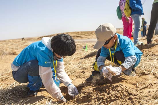 SEE organizes sacsaoul planting in Alxa