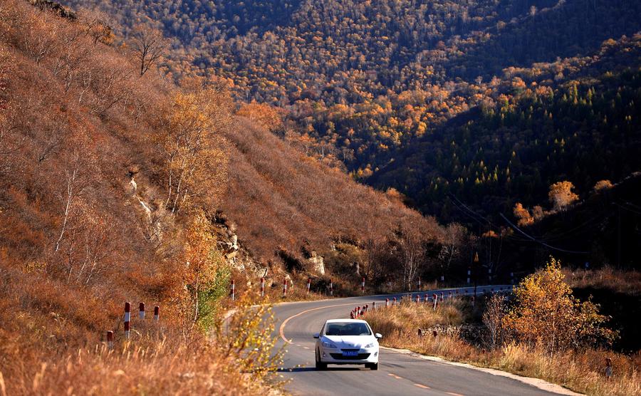 Autumn scene in Daqingshan Nature Reserve