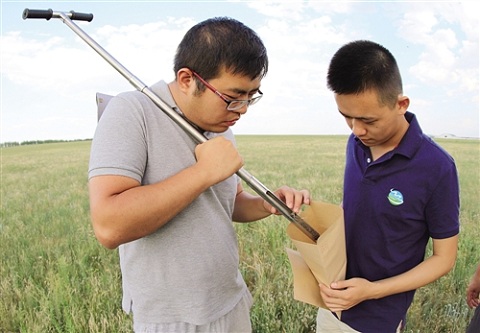 High-yield grasslands harvest in Hulunbuir