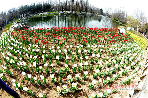 Stunning spring scenery at Qingdao Zhongshan Park