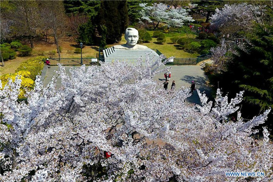 Flower appreciation event held in Qingdao, China's Shandong