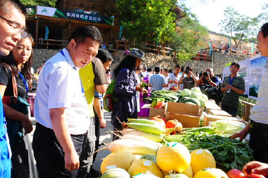 Organic agriculture forum opens in Linqiu, Shanxi