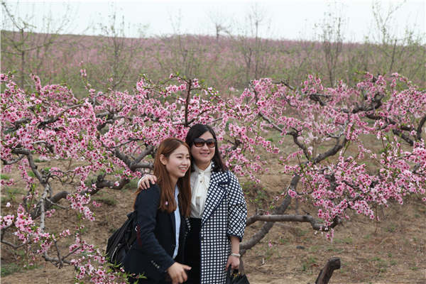 Shanxi tourism is springing into blossom