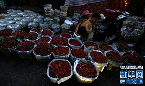 Kunming fruit market under flashlights