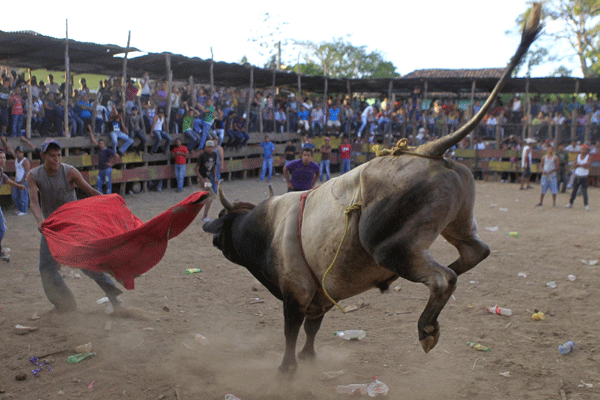 Bullfight in Santa Teresa festival