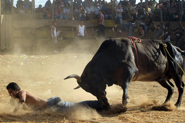 Bullfight in Santa Teresa festival