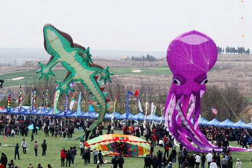 kites fly high in Weifang