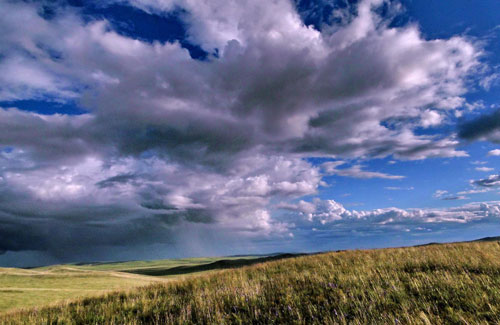 Beautiful scenes from Hulunbuir grassland