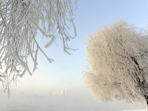 Rime-covered city tells fairyland tale