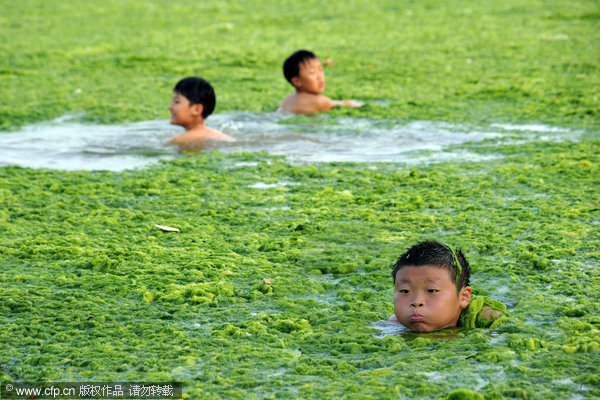 Beachgoers covered in algae in E China