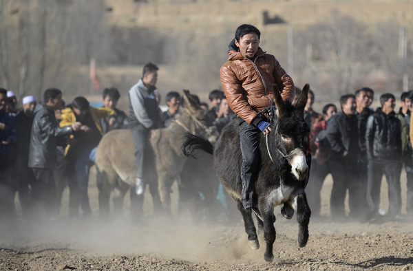 Villagers compete in donkey derby