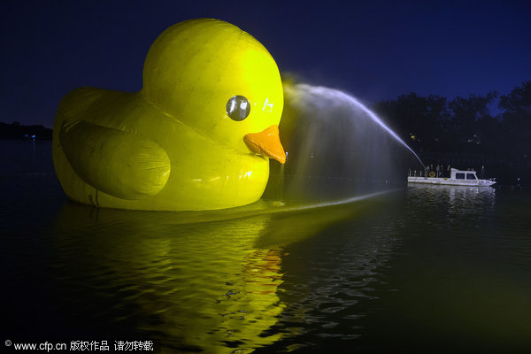 Trials and tribulations of rubber duck