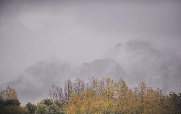 Snowfall hits many areas of Tibet 