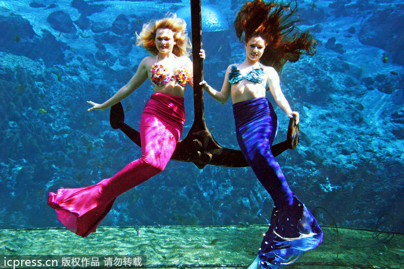 Mermaids mesmerize visitors