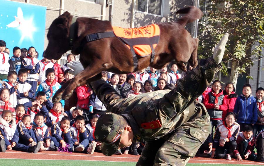 Search-and-rescue dogs wow students in NW China