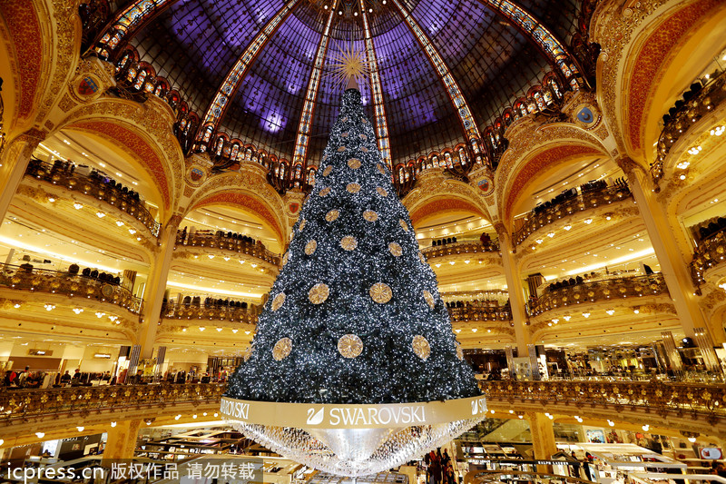 Beautiful Christmas trees around the world