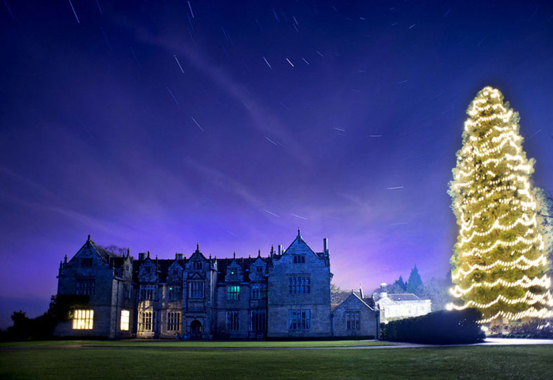 Beautiful Christmas trees around the world