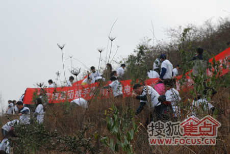 “打造綠色家園建設(shè)城市繁華”植樹(shù)活動(dòng)啟幕