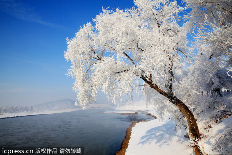 Scenery of rime in NE China