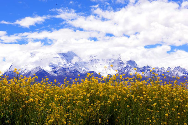 Autumn scenery in Xigaze prefecture, China's Tibet