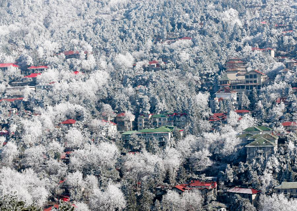 Gorgeous rime scenery in Lushan mountain