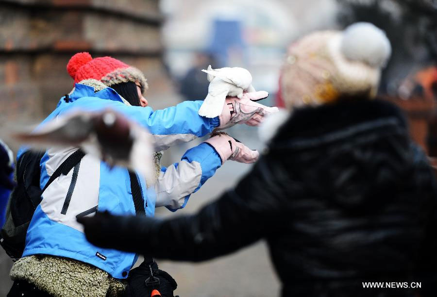 Temperature rise in Harbin brings more winter fun