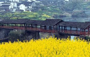 Beautiful island Ma Wan in China's HK