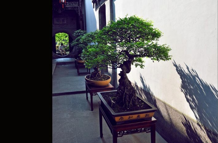 Former Residence of Hu Xueyan: beautiful and luxurious