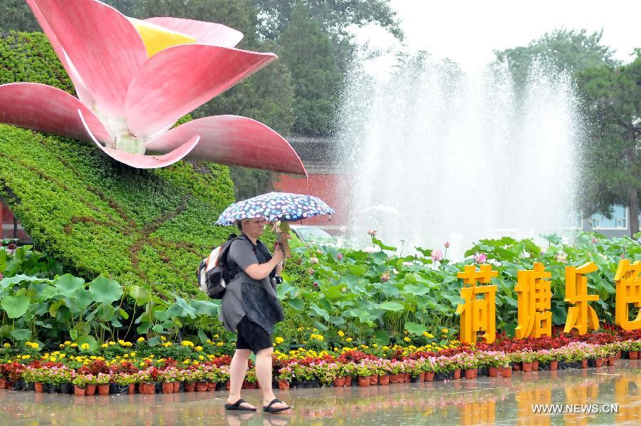 Lotus season in China