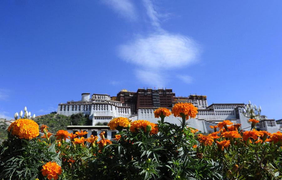 Lhasa ready to welcome Shoton Festival