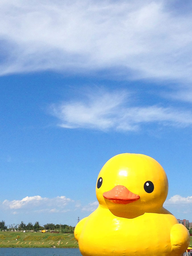 Floating Rubber Duck