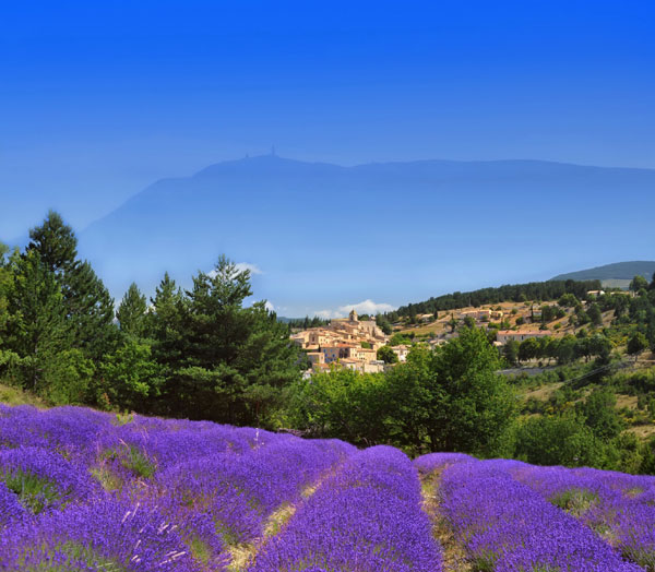 The charms of Provence