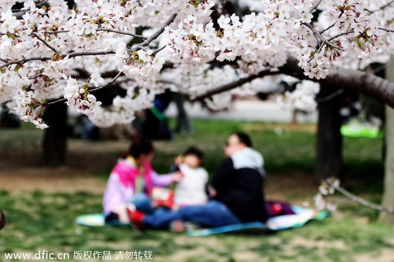 Qingming holiday embraces tourist boom